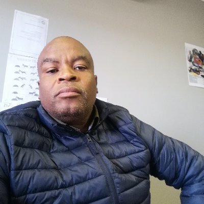 TotoMadikane's profile picture. 