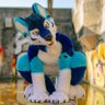 Arky_Wolf's profile picture. 18+ | 32 | Single💙 | Gay🏳️‍🌈 | Wolf and Shep 💜| Gamer🎮 | Alpinist🏔️ | MTB🚵‍♂️ | Snowboarding🏂🏼 | Car guy 🚙 | Gym rat💪 | spicy🌶️ | NO minor’s!🚫