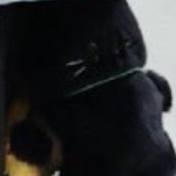 junmansama's profile picture. zb1ジウン
取引垢兼ねます