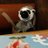 SUF3wZIyf4jfpFI's profile image