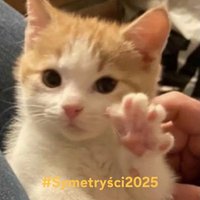 mocarz wielki 2 (@sierpc2137) 's Twitter Profile