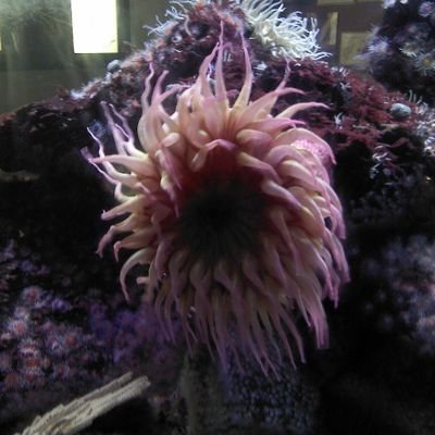 gayoy274451's profile picture. 