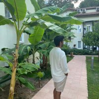 Matthews (@mrtvrm) 's Twitter Profile Photo