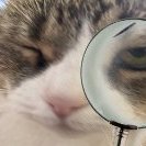 Taste Subjective (@tastesubjective) 's Twitter Profile