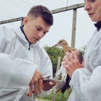 Jordan Pargeter (@jordanpargeter) 's Twitter Profile