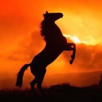 ARobod_2022♥️ (@arobod_2022) 's Twitter Profile