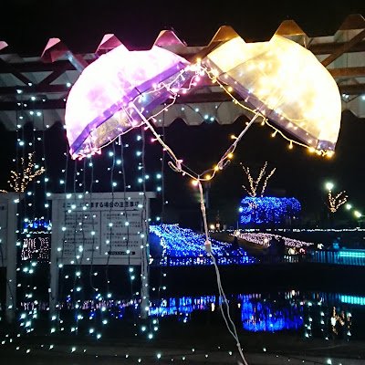 m1bVSHbncY29518's profile picture.
