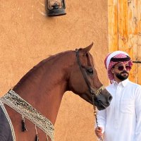 صـالـح بـن فـهـد . (@salo7___) Twitter profile photo