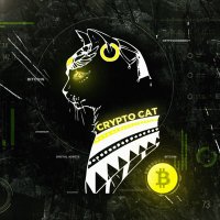 The Crypto Cat (@thecryptocat8) Twitter profile photo