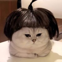 RockyF. (@easywinmaster) 's Twitter Profile