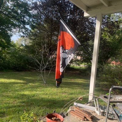 droid8675309's profile picture. 