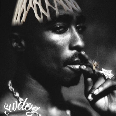 KevinBrama12204's profile picture. $wDOG MAXI
$wDOG the dog stays wrapped
$wDOG WRAPPED LIFE