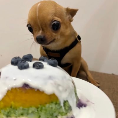 番茄炒蛋