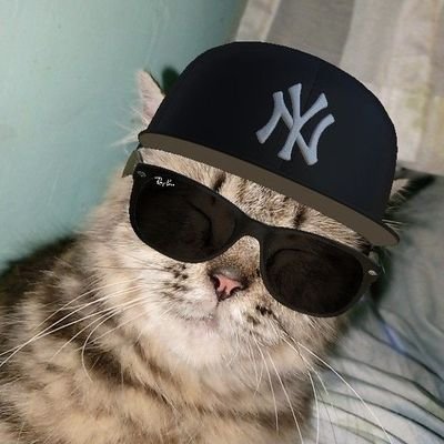 Ffd1214281's profile picture. 