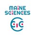 Maine Sciences (@maine_sciences) Twitter profile photo