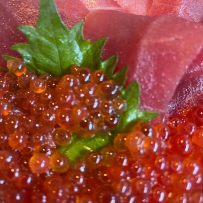 Uj2vK9GFC140336's profile picture. 