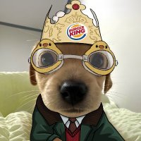 gromo (@skantedegen) 's Twitter Profile Photo gromo (@skantedegen) 's Twitter Profile Photo