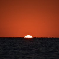 I van O (@onco_uroloog) Twitter profile photo