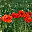 Ann Jameson - @AnnieJ555 - Twitter