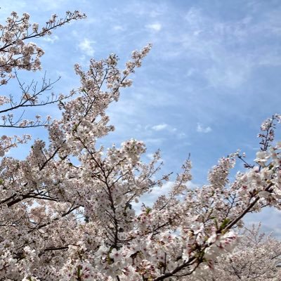 じあさんのプロフィール画像
