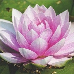 eJWrq0st5jmc4KD's profile picture. 副業で安定した収入を得る方法を共有中。副業初心者に役立つ情報を提供。少額ですが10万円プレゼント企画も始めました♪ なくなり次第終了→ https://t.co/6e3UxoMeeX