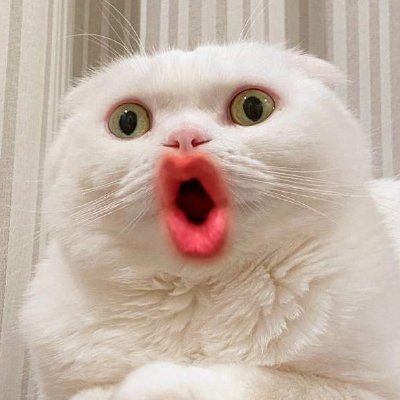 อยากนอนさんのプロフィール画像