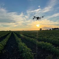 Kyle Meece (@meeceupagronomy) 's Twitter Profile