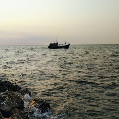 marvianrizki's profile picture. lone wolf in joker costume.