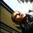 sansar261's profile image