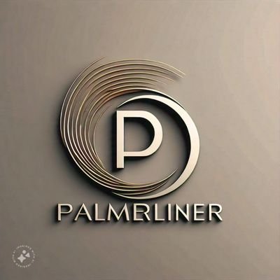 palmerliner's profile picture. I dream to have my airline some days
