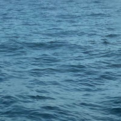 7WErhCE7kd52652's profile picture. 