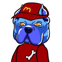 ET 🐶🩻 (@etonbase) 's Twitter Profile Photo ET 🐶🩻 (@etonbase) 's Twitter Profile Photo