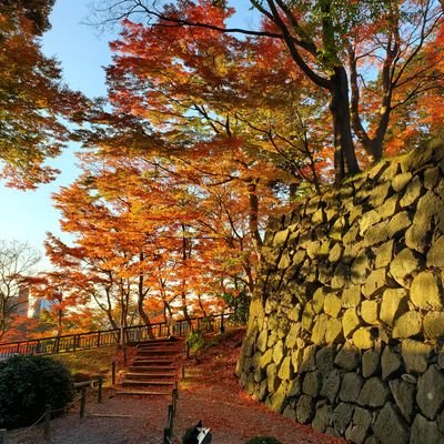 Johnson49891's profile picture. John（@John49892）の日常垢
中の人が荒ぶりながらWT以外のことを呟きます