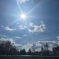 のほのら (@nohonola_re) Twitter profile photo