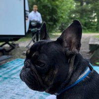 conor witherspoon (@cspooner19) 's Twitter Profile
