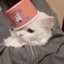 Jill Dominguez - @dominguez_63136 - Twitter