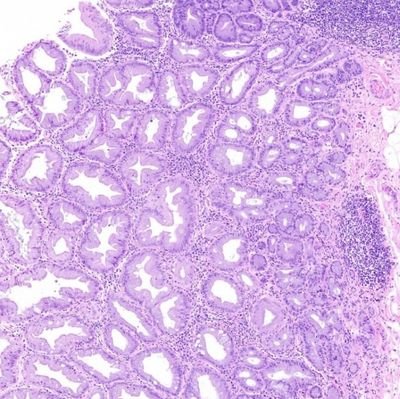 DeeGideo25's profile picture. Luvingpathlyf/ PGY3