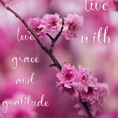 crlmaina's profile picture. Trust the process