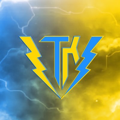 Fondateur et organisateur événementiel pour @vholtik_esport