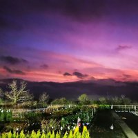 Tornadotitan 🌪️ (@tornadotitan) 's Twitter Profile