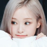 하오 👑 샤랑하오 (@haooppa) 's Twitter Profile