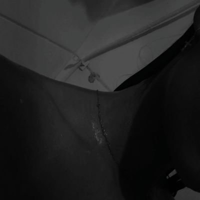 bibi84649833's profile picture. Somente fato, sinceridade e verdade por aqui...