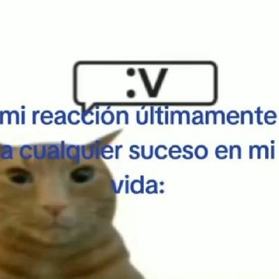 mapach3_ruso's profile picture. 