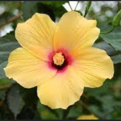 baran616698's profile picture. 