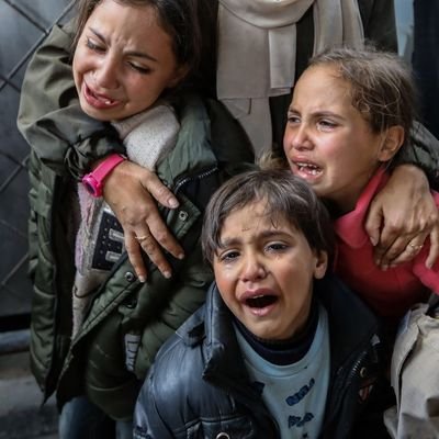 BdLnwsh14858's profile picture. help me please