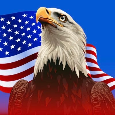 Three time Trump voter. 🇺🇸🇺🇸🇺🇸Unapologetic proponent of capitalism, free markets and individualism. Total contempt for Socialists and Communists. MAGA!!!