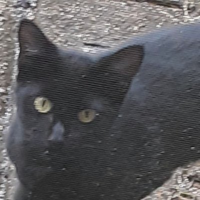 Ddmilan13410's profile picture. 