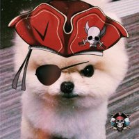 ⚡️ Joltify Bullish on Kaska TAP🚰 (@a_must4fa) 's Twitter Profile