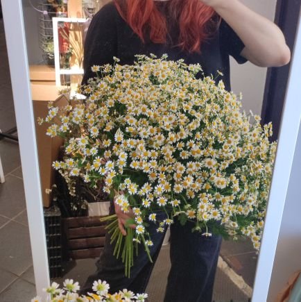 jmlliim's profile picture. #lim