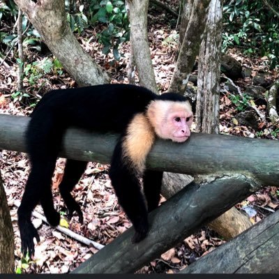 JovanniAnderso5's profile picture. 